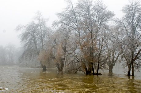 morningweatherdec22_2013-2.jpg