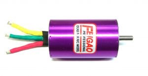 feigao-l-size_large.JPG