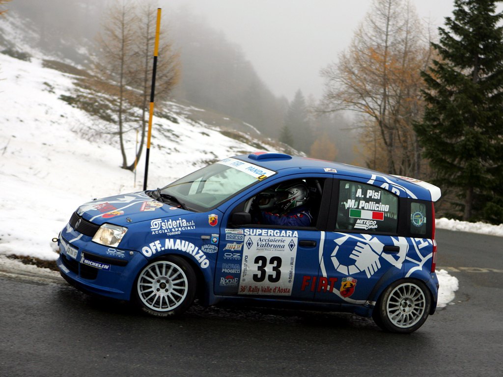 fiat_panda_rally_2.jpg