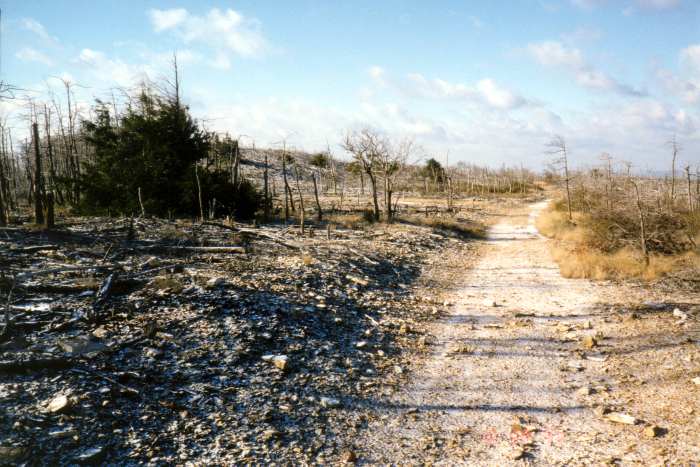 pa-wasteland.jpg