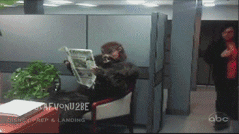 17-daily-gifdump-55.gif