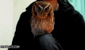 danghumanp1.gif