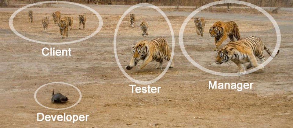 cropped-softwaredeveloper.jpg