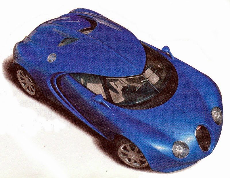 bugattii.jpg