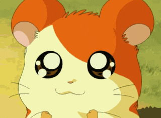 tumblr_lzcw8vL8rw1r8506wo1_400.gif