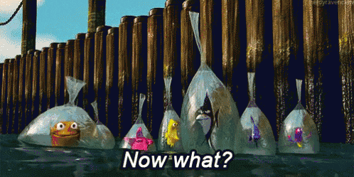stuck-nemo.gif