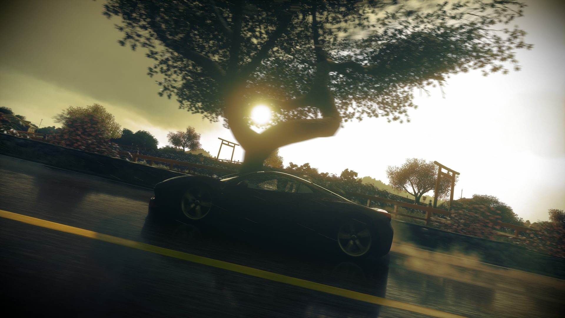 c63e666950954fd9.jpg