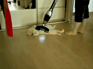 15.gif
