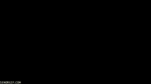ROdlEFF1JUSMsmuISZAIng2.gif