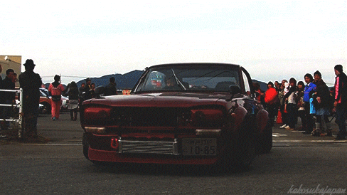 tumblr_mrouxnjn0f1s0m17do1_500.gif