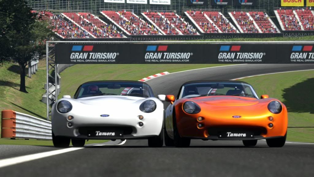DeepForestRaceway_15_zpsc7bab7ce.jpg