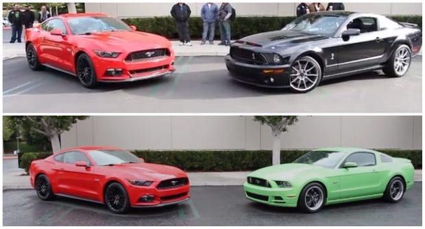 Mustangs.jpg