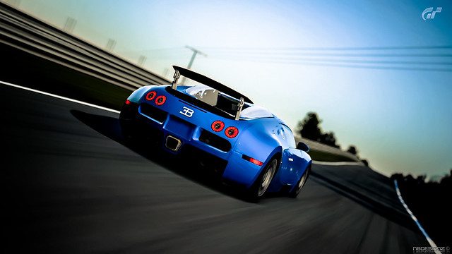 8080331324_fd2e5bda5d_z.jpg