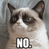 th_grumpy-cat-8141_preview_zps9177ab07.png