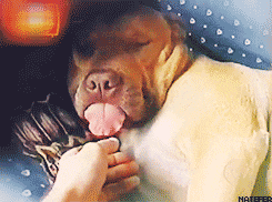 08.gif