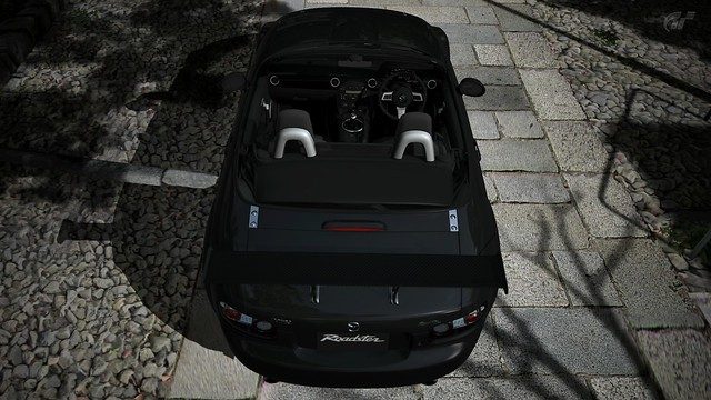 5291723600_341190eb37_z.jpg