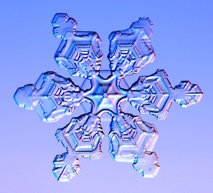 Gallery-Snowflakes-A-Doub-003.jpg