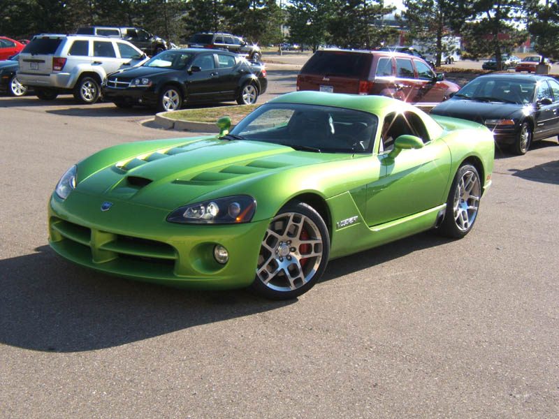 Dodge Snakeskin Green