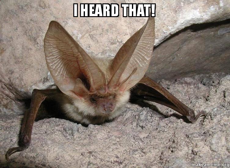 i-heard-that-w2x73v.jpg