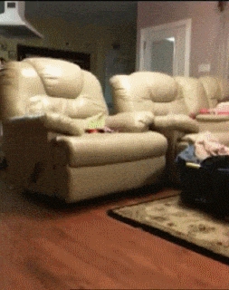 monday-dopeness-6.gif