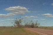 muy5qe.gif