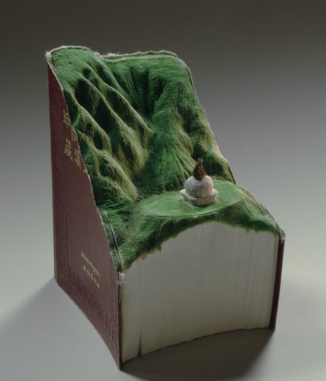 book-4-640x749.jpg