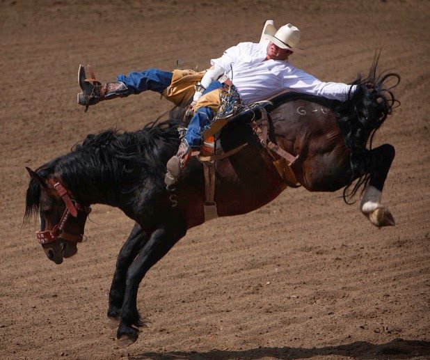 Bucking+Bronco.jpg