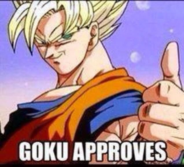 gokuApproves.jpg