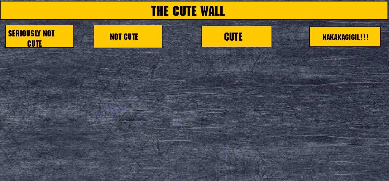 I like the wall