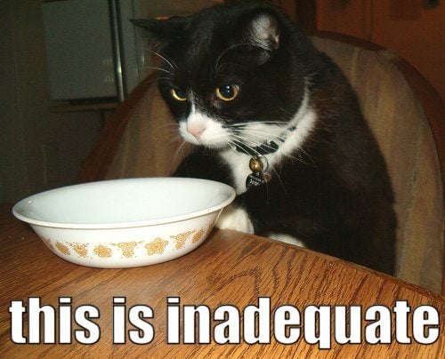 this-is-inadequate-cat.cats.kitten.kitty.pic.picture.funny.lolcat.cute.fun.lovely.photo.images.jpg