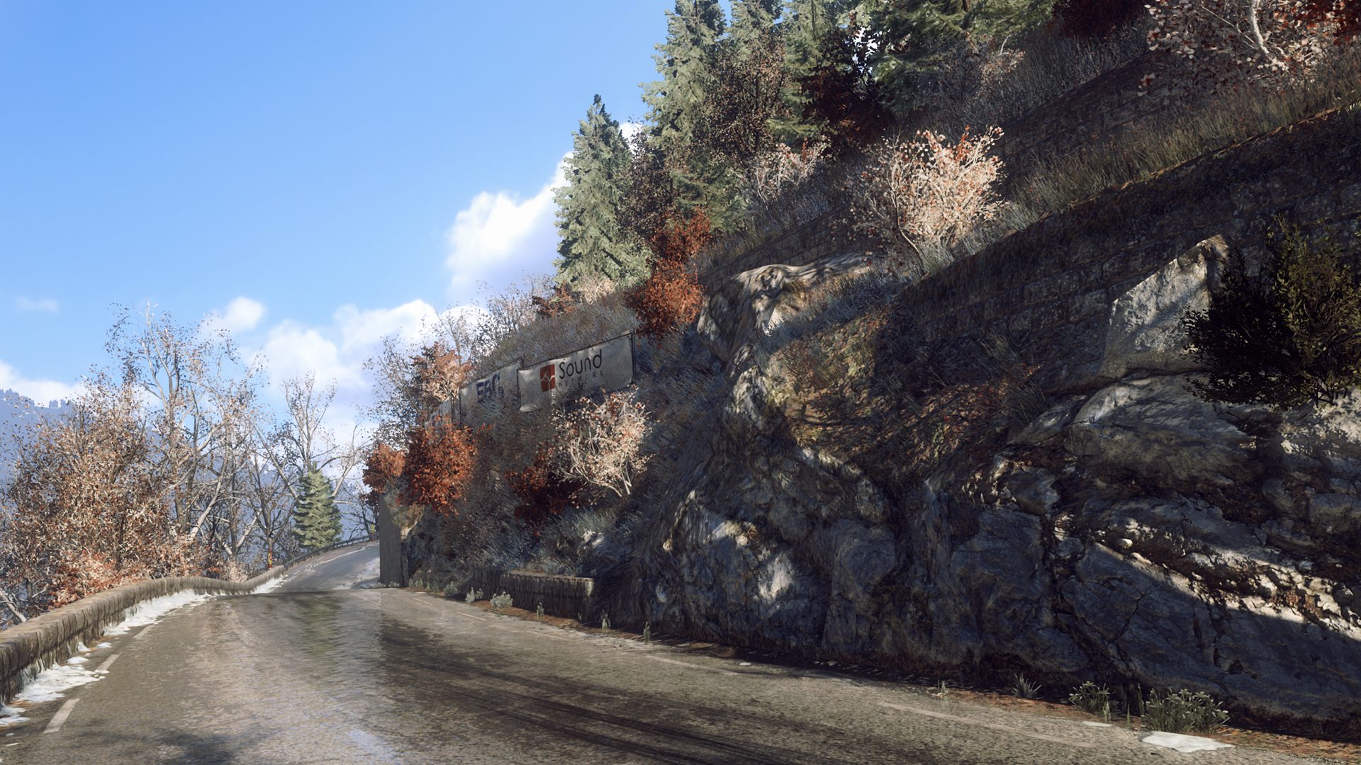 DiRT_Rally_F_2.jpg