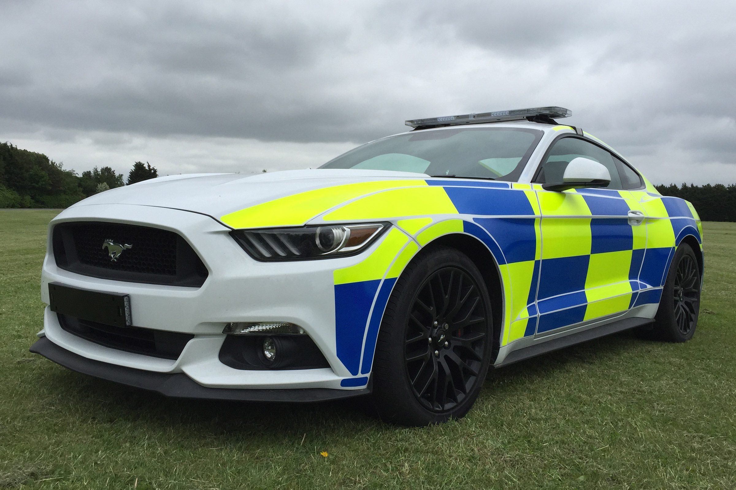 mustang-police-car-3.jpg