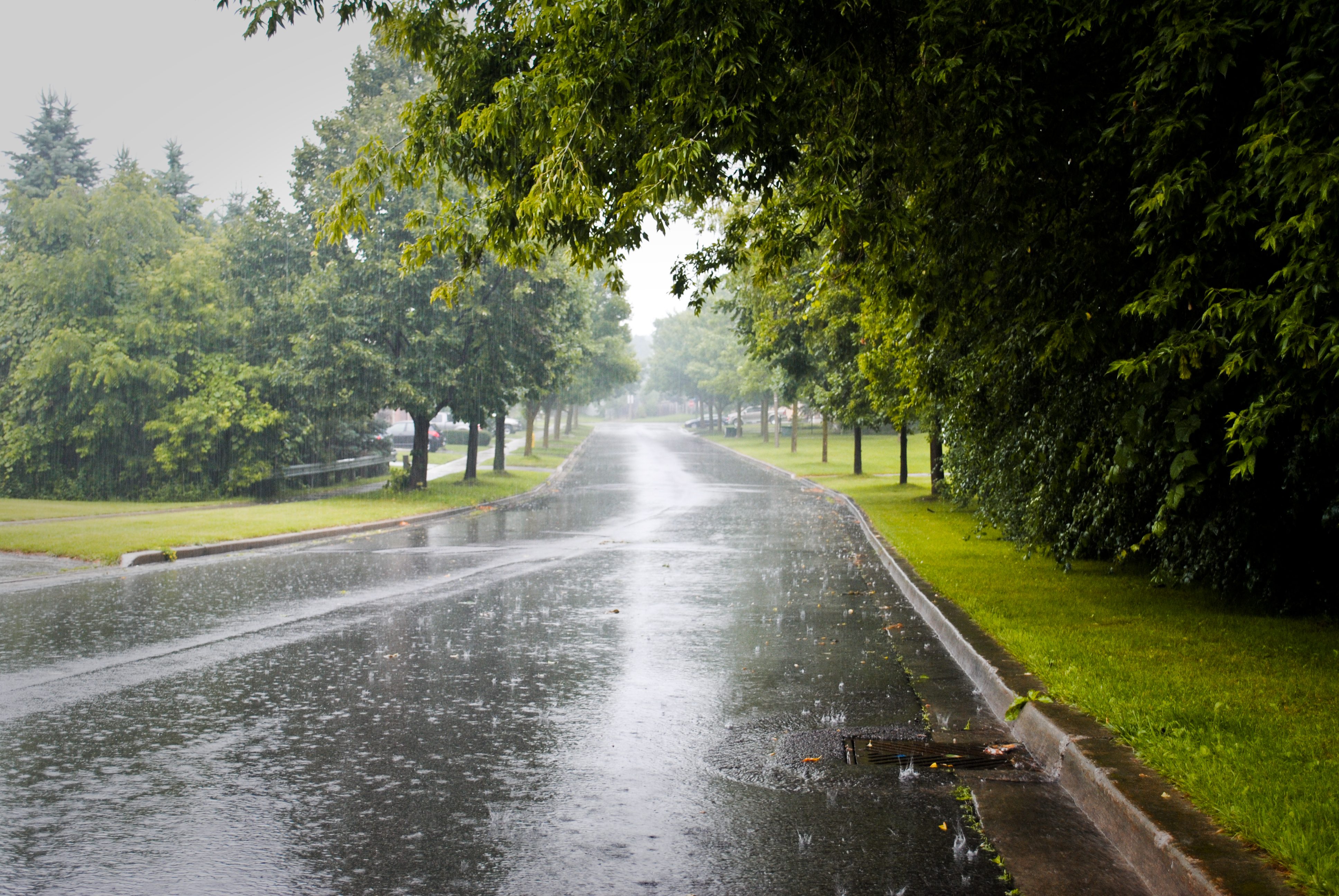 Rain area. Дождливое лето в городе. Мокрая дорога. Лето пасмурно в городе. Дождь летом в городе.