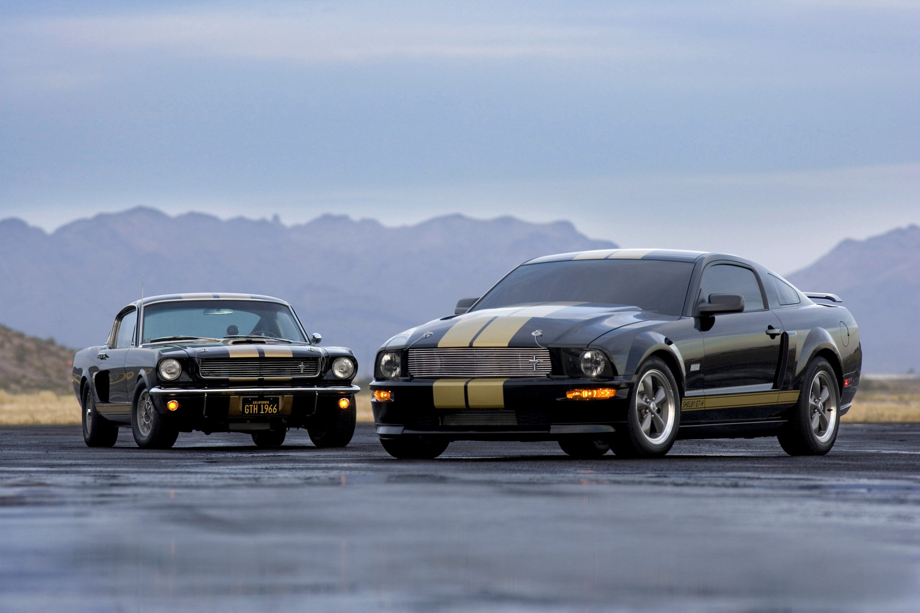 2006_Mustang_Shelby_GT-H.jpg
