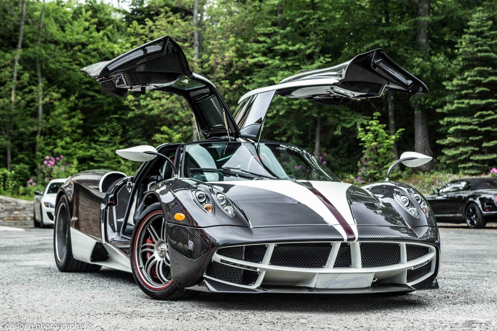 Pagani-Huayra-The-King-1.jpg