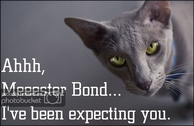 bond.jpg