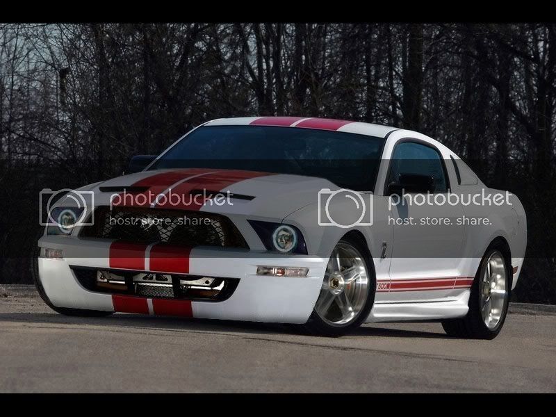 Stang1.jpg