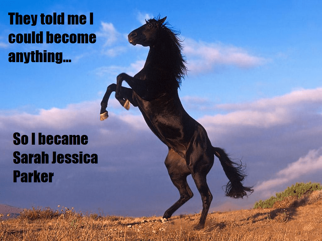 Sarah_Jessica_Parker_Is_A_Horse.png