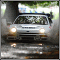 RS200.gif