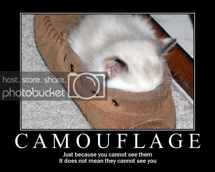 0688-camouflage.jpg