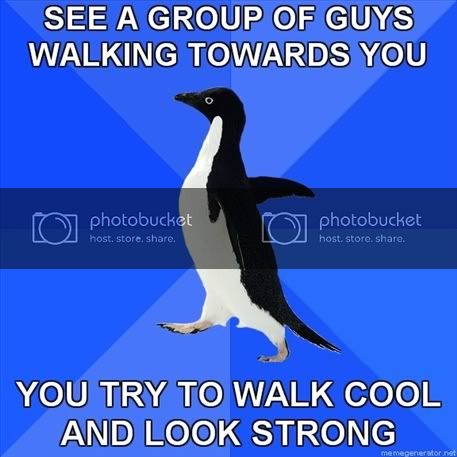 457x457-Socially-Awkward-Penguin-SE.jpg