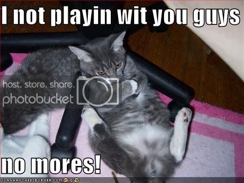 lolcats8.jpg