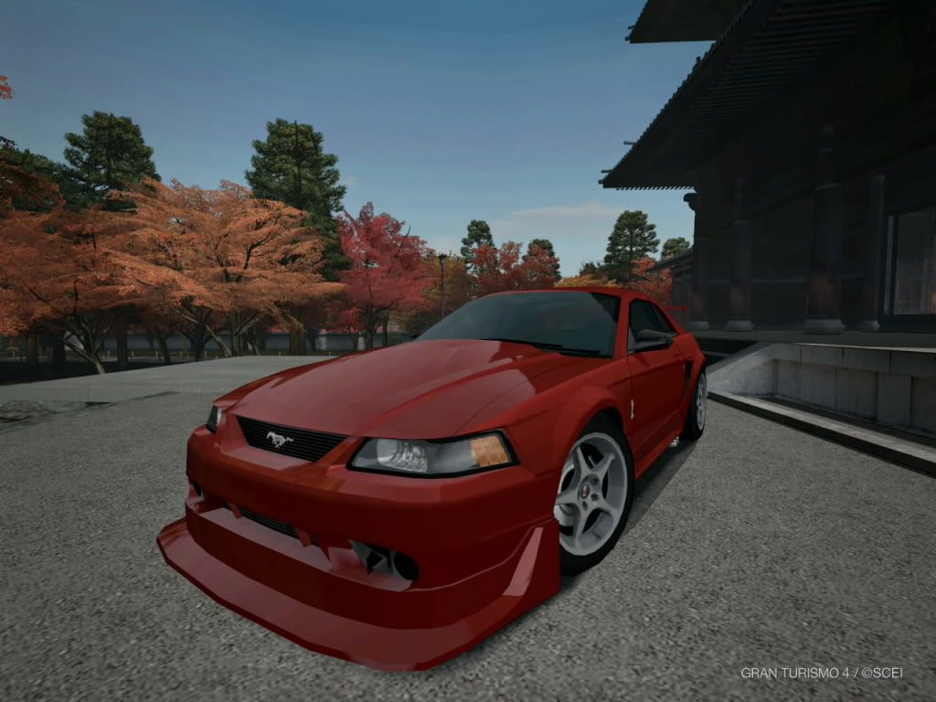 00FordMustangSVTCobraR.jpg