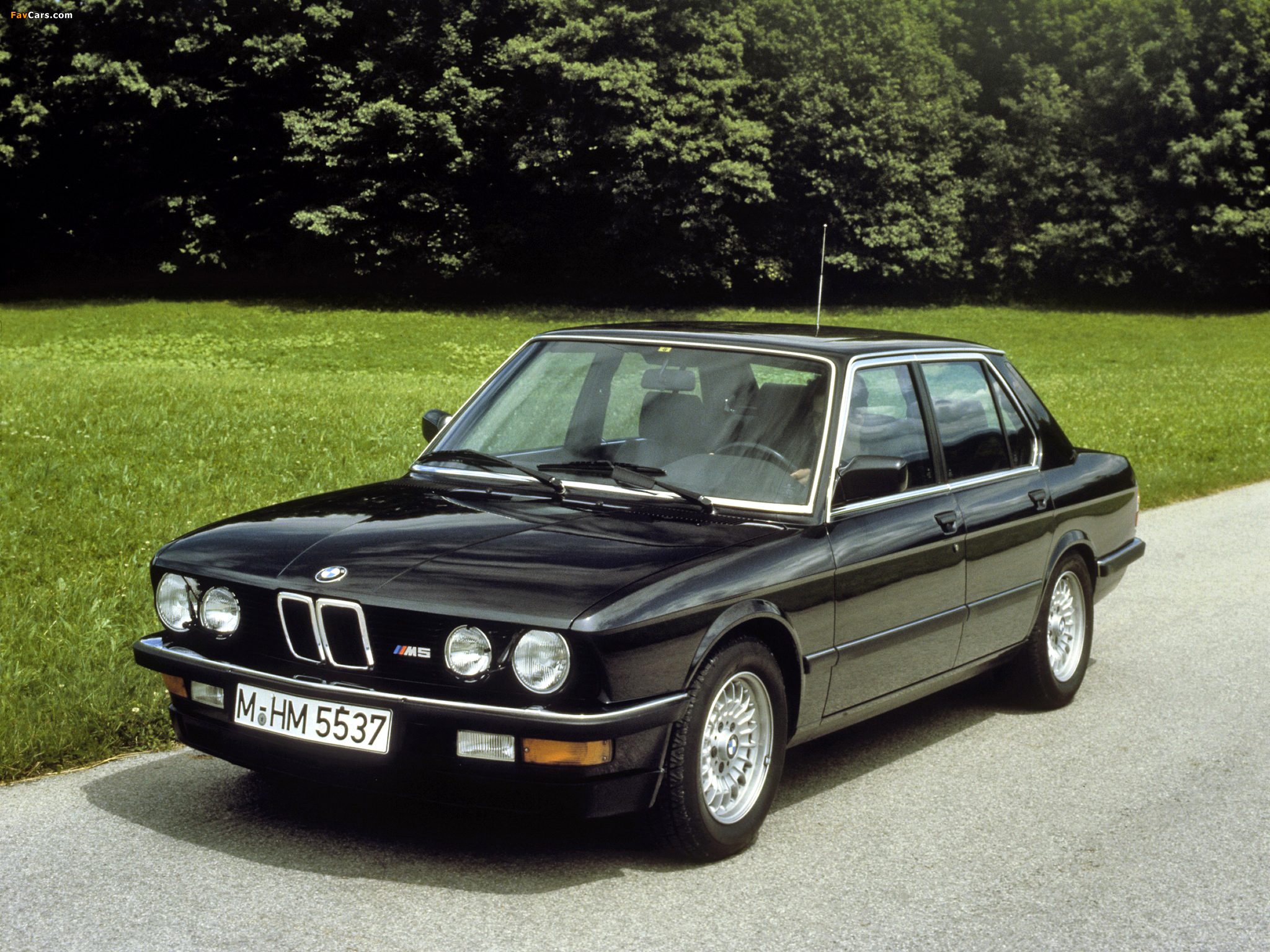 images_bmw_m5_1985_1.jpg