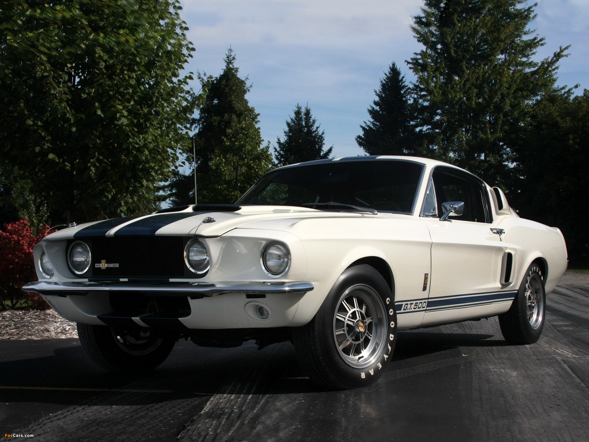 shelby_gt500_1967_wallpapers_1.jpg