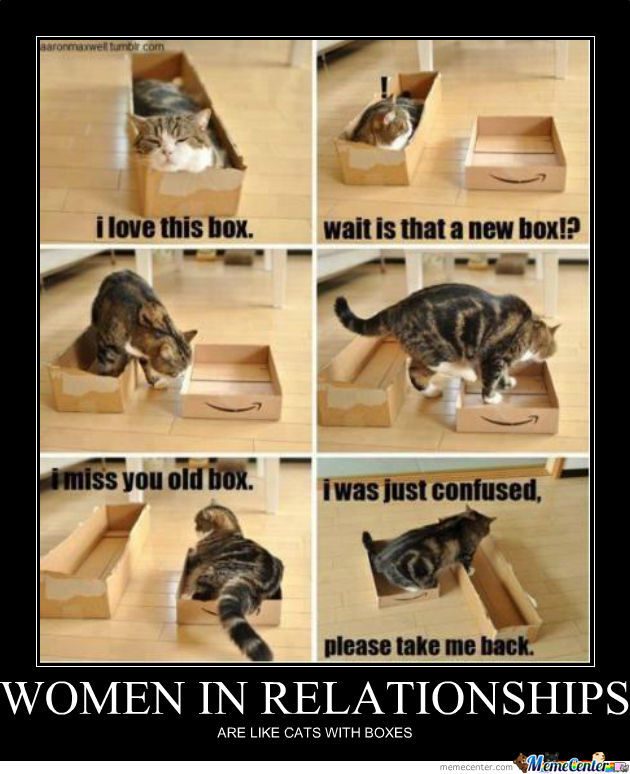 thats-why-women-loves-cats_o_681535.jpg