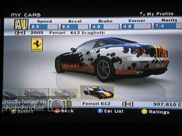 Forza008Small.jpg