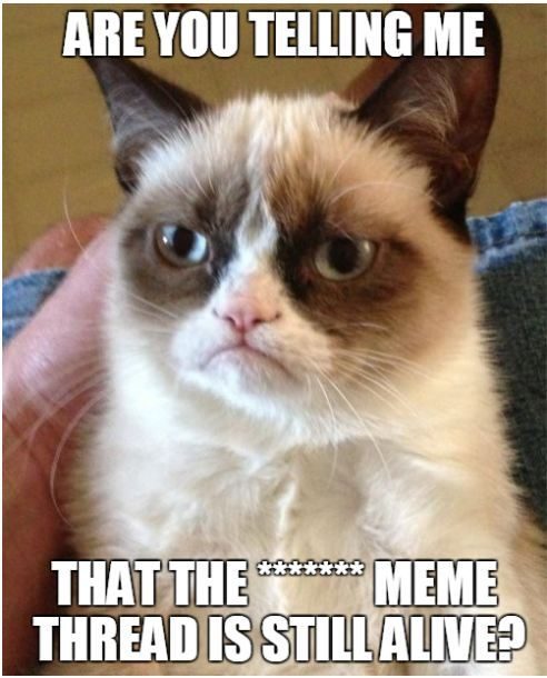 memegrumpy%20cat_zpsv1jfm2f8.jpg