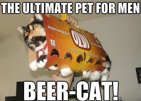 MEME-Beer-cat.jpg