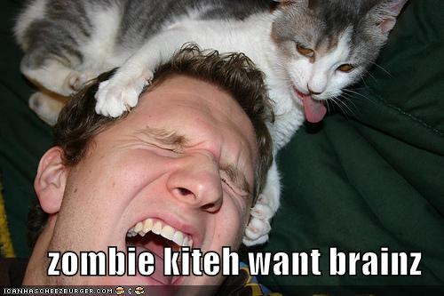 d6df7-zombie_cat.jpg